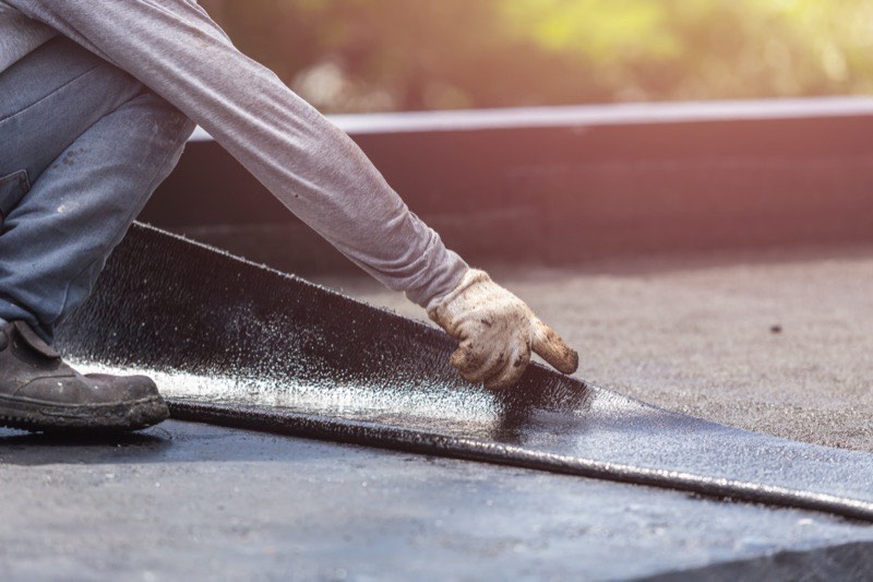 Inspecting a flat roof membrane for the source of a leak